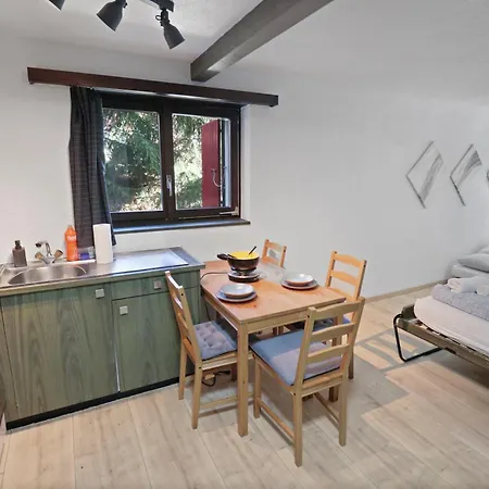 Studio Renove A Cote Des Pistes Saas-Fee Exterior foto