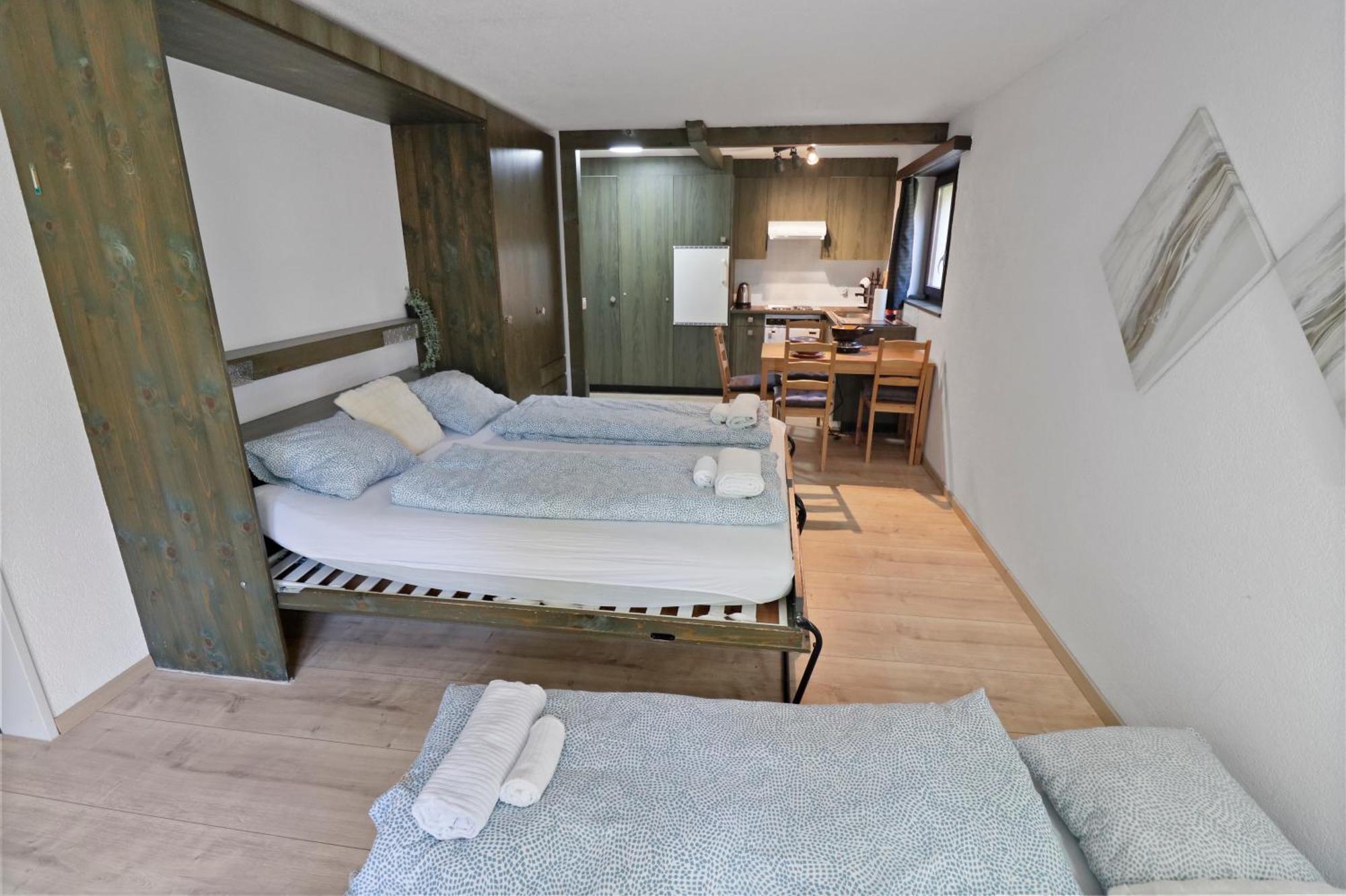 Renove A Cote Des Pistes Apartment *
